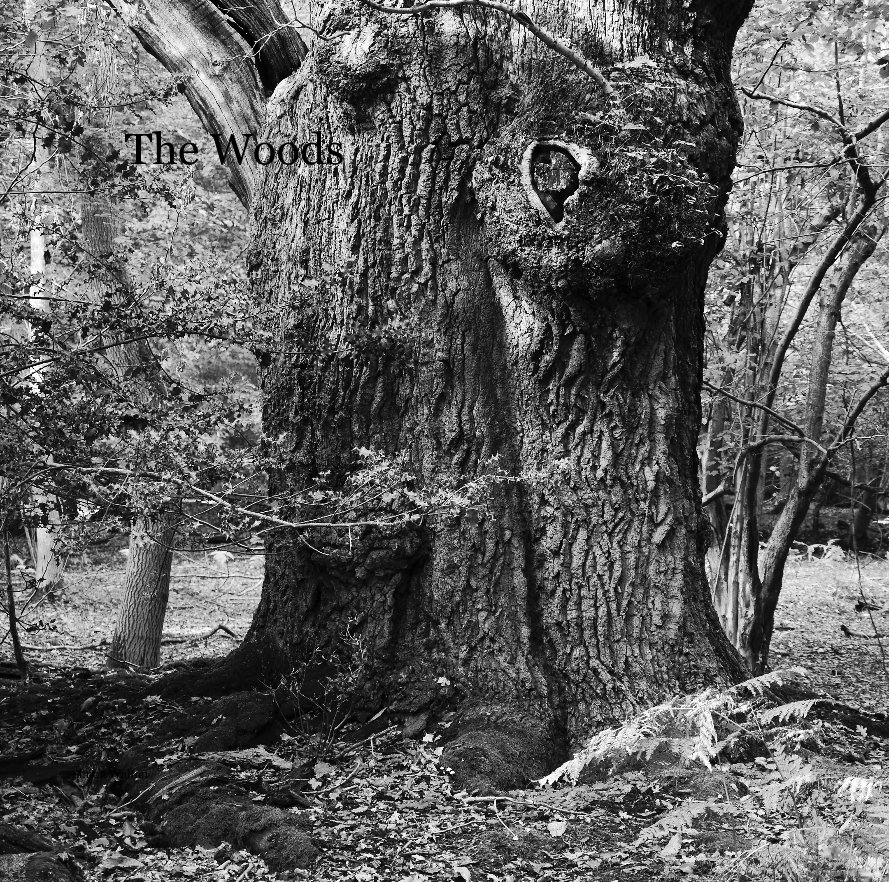 Ver The Woods por Simon Walton