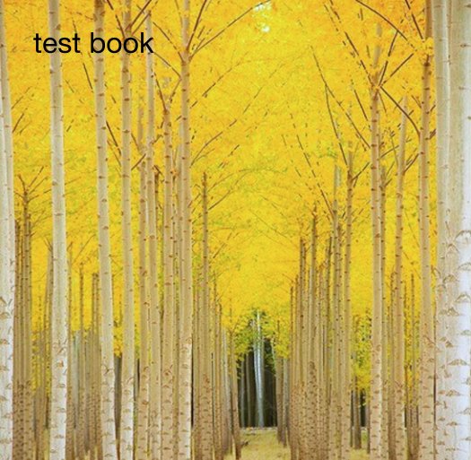 View test book by steve