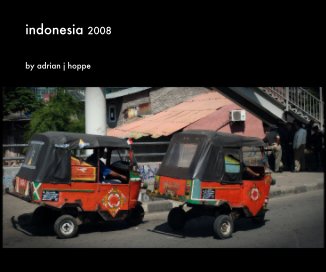 indonesia 2008 book cover