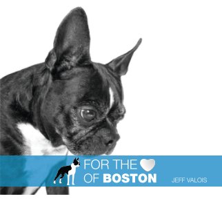 For the Love of Boston book cover