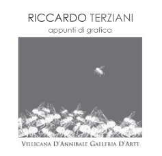 RICCARDO TERZIANI "appunti di grafica" book cover