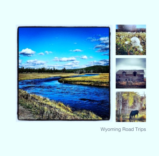 View Wyoming Road Trips by Melissa J. Broughton