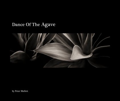 Dance Of The Agave book cover