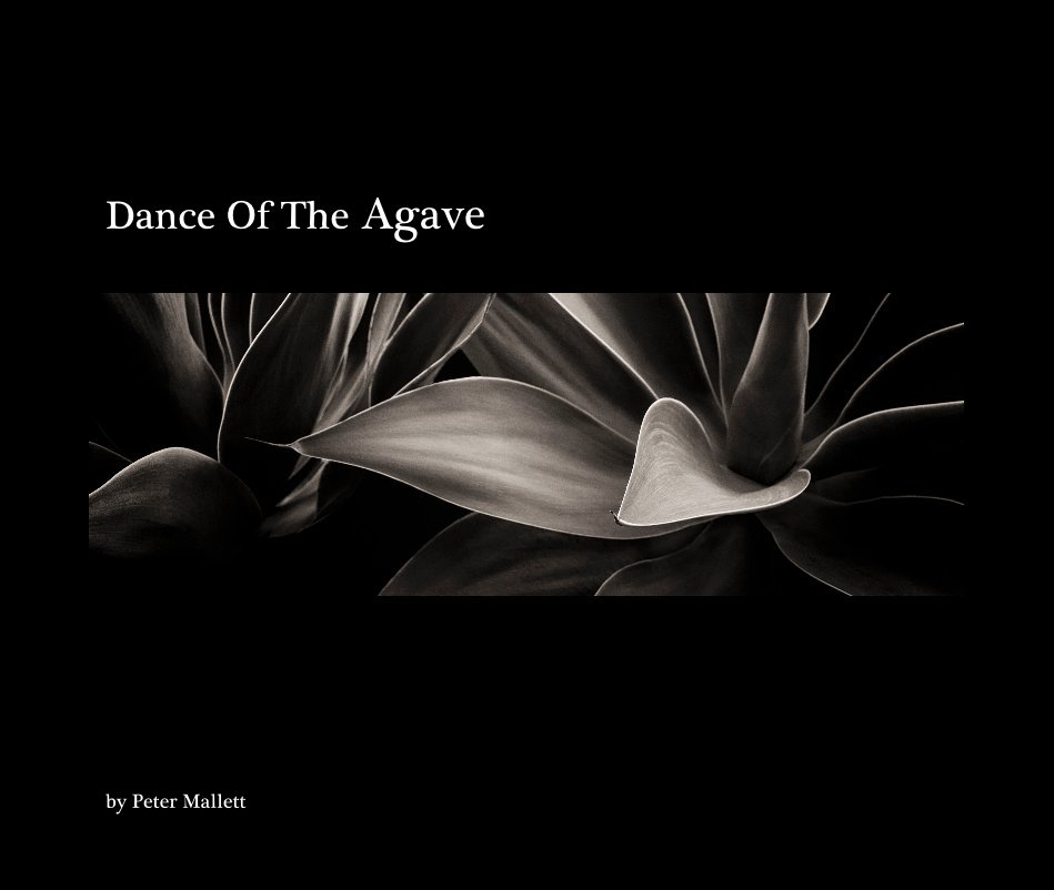 View Dance Of The Agave by Peter Mallett
