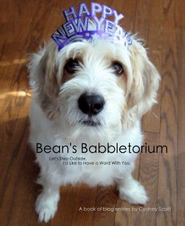 Bean's Babbletorium book cover