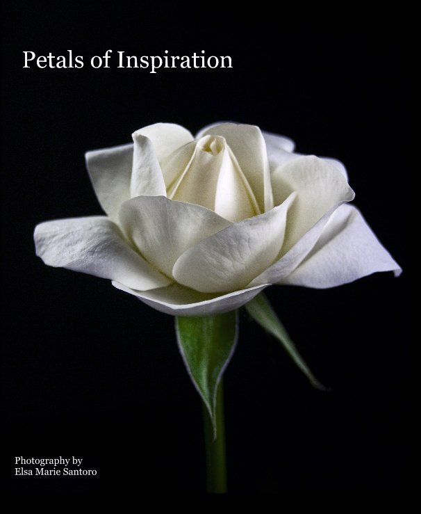 View Petals of Inspiration by Elsa Marie Santoro