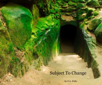 Subject To Change book cover