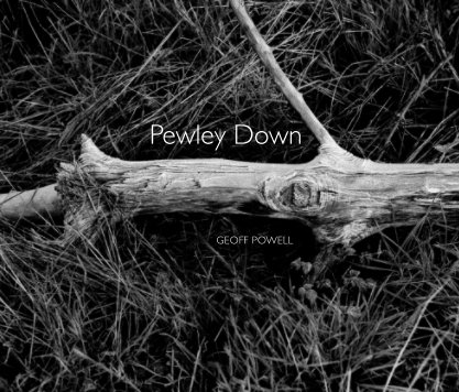 Pewley Down book cover
