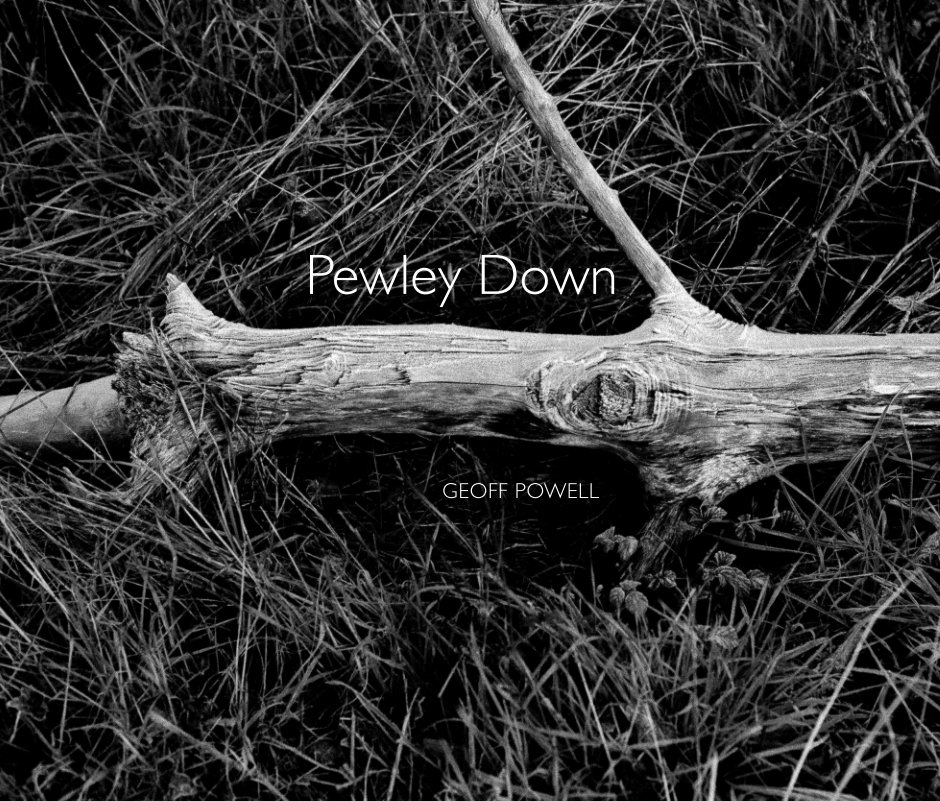View Pewley Down by Geoff Powell