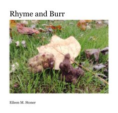 Rhyme and Burr book cover