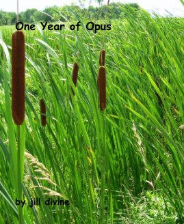 One Year of Opus book cover