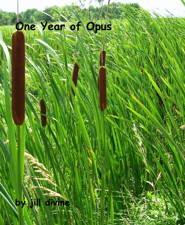 View One Year of Opus by jill divine