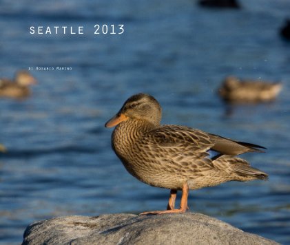seattle 2013 book cover