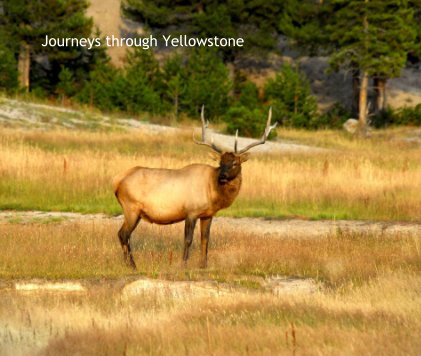 Journeys through Yellowstone book cover