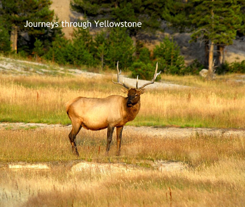 Ver Journeys through Yellowstone por Mark Schulz