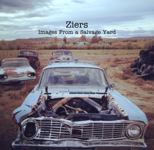 View Ziers
Images From a Salvage Yard by Marsha Stewart