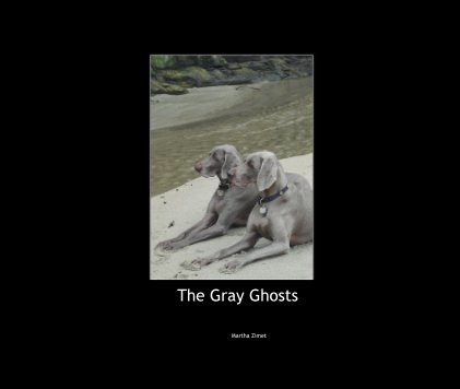 The Gray Ghosts book cover