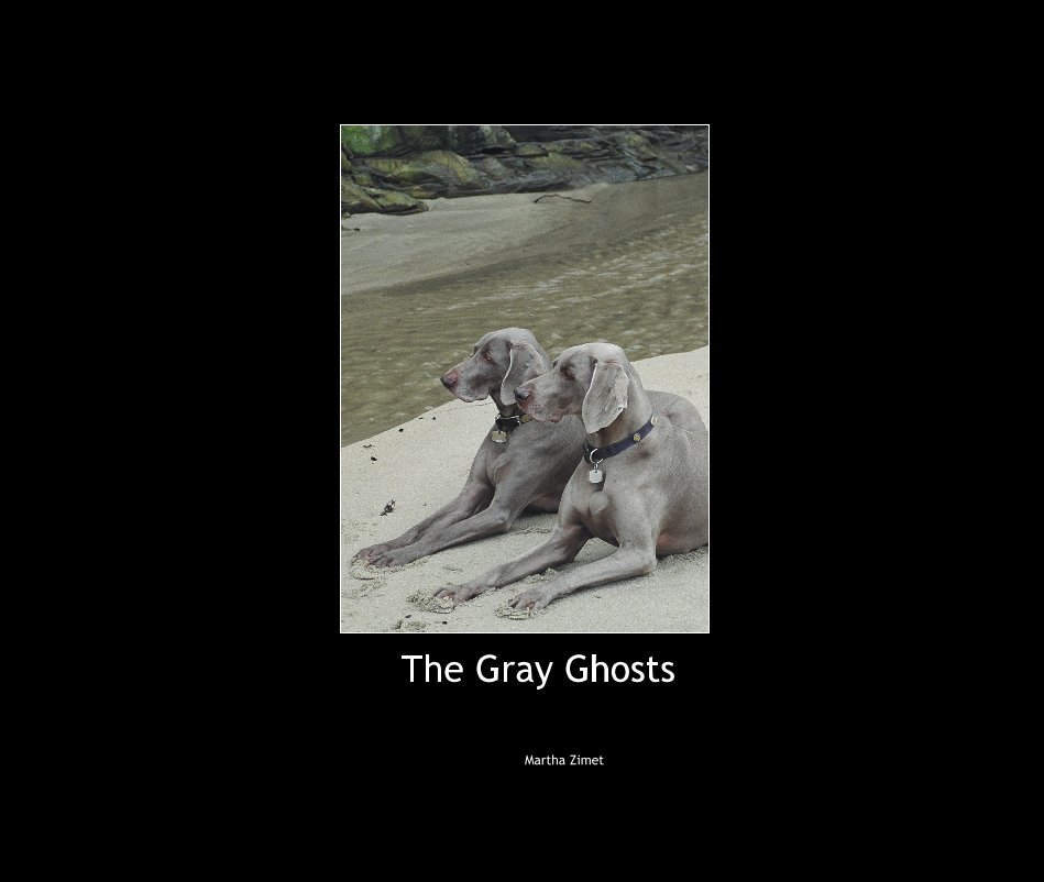 View The Gray Ghosts by Martha Zimet