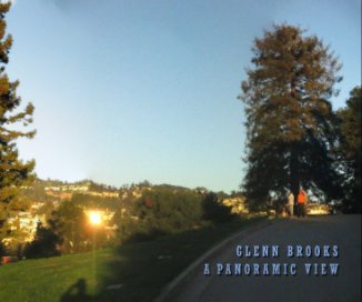 Glenn Brooks A Panoramic View book cover