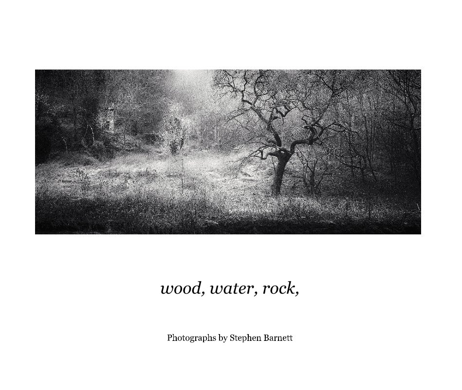 View wood, water, rock, by Stephen Barnett