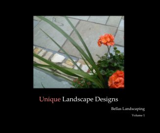 Unique Landscape Designs book cover