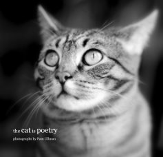 the cat is poetry book cover