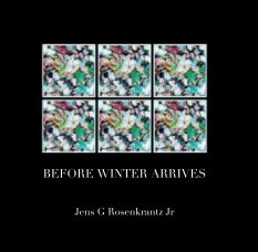 BEFORE WINTER ARRIVES book cover