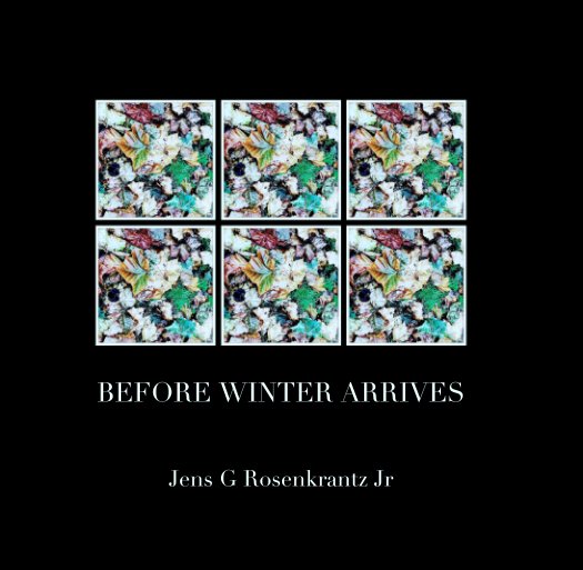 Ver BEFORE WINTER ARRIVES por Jens G Rosenkrantz Jr