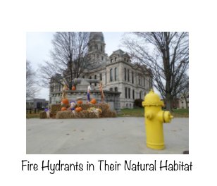 Fire Hydrants book cover