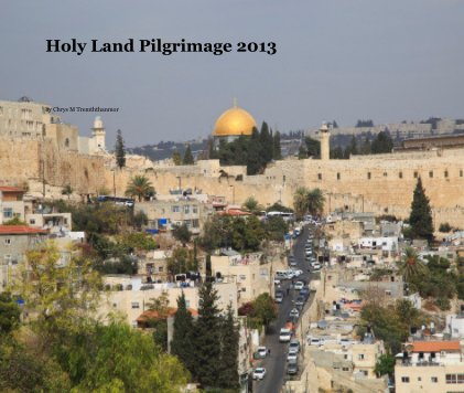 Holy Land Pilgrimage 2013 book cover