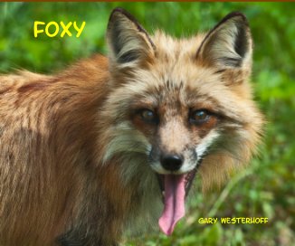FOXY book cover