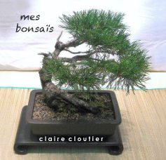 mes bonsaïs book cover