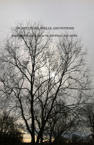 View INCANTATIONS, SPELLS, AND POTIONS by William Krause