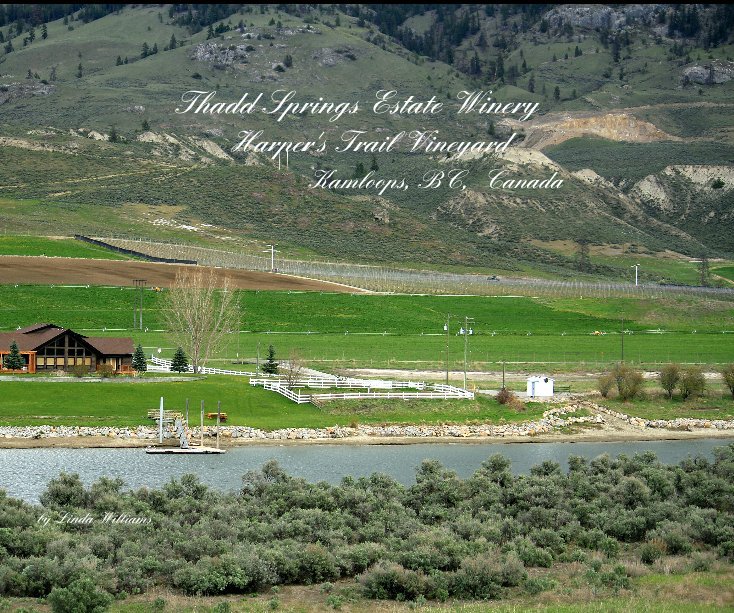View Thadd Springs Estate Winery Harper's Trail Vineyard Kamloops, BC, Canada by Linda Williams by Canada