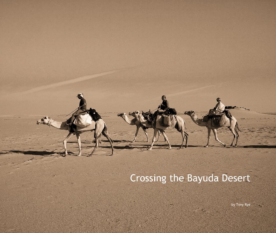 View Crossing the Bayuda Desert by Tony Rye