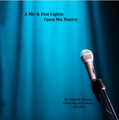 A Mic & Dim Lights book cover