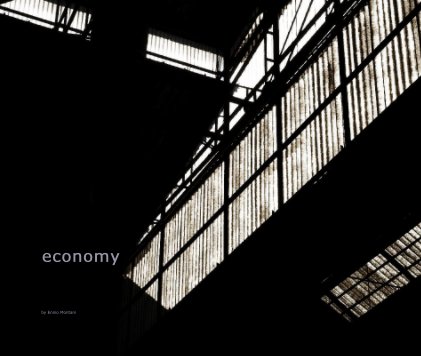 economy book cover