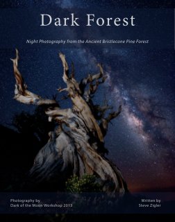 Dark Forest book cover