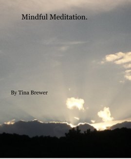 Mindful Meditation. book cover