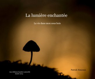 La lumière enchantée book cover