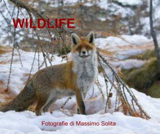 WILDLIFE book cover