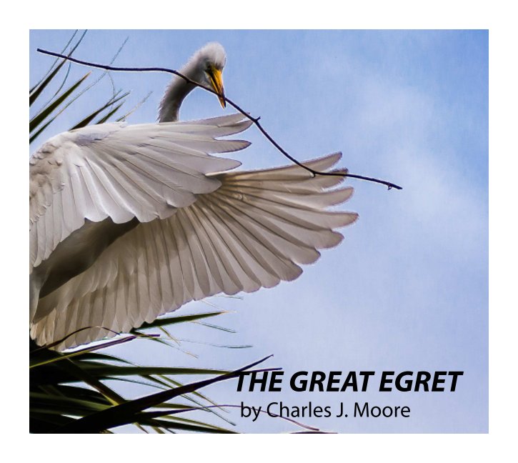Ver The Great Egret por Charles J. Moore
