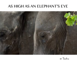 AS HIGH AS AN ELEPHANT'S EYE book cover