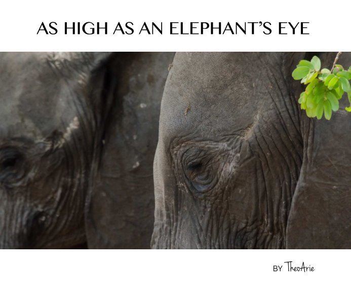 View AS HIGH AS AN ELEPHANT'S EYE by TheoArie