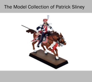 The Model Collection of Patrick Sliney book cover