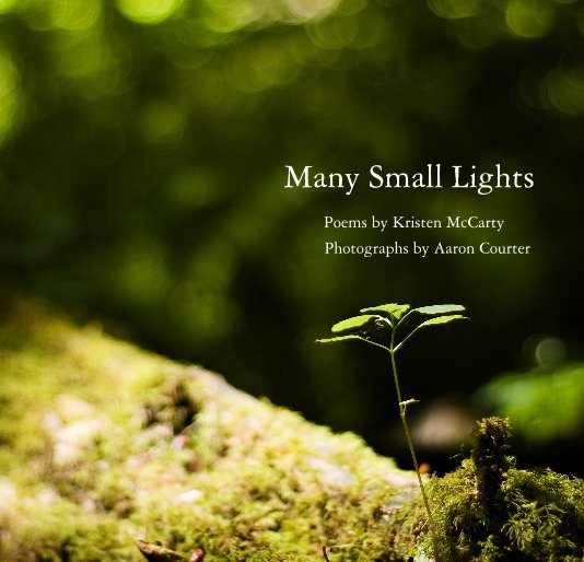 View Many Small Lights by Kristen McCarty