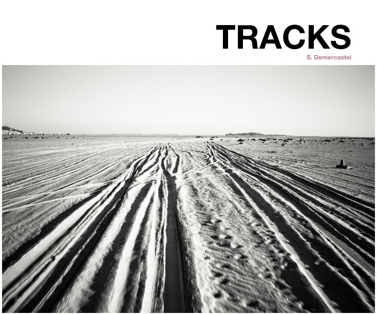 Visualizza TRACKS 25x20cm di Sylvain Demercastel