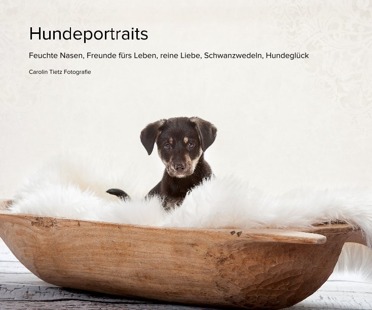 View Hundeportraits by Carolin Tietz Fotografie