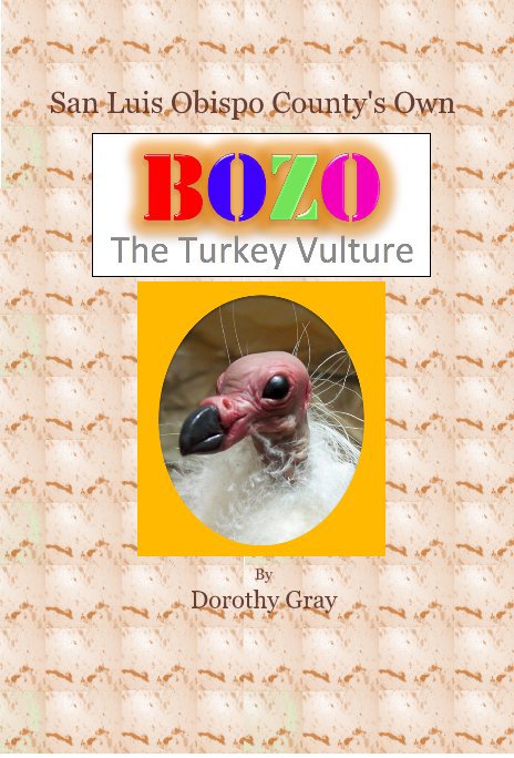 View BOZO the Turkey Vulture by Dorothy Gray