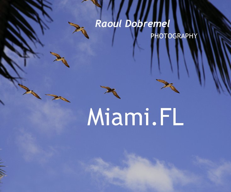 Ver Miami.FL por Raoul Dobremel